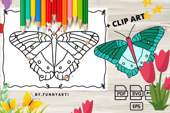 Download Butterfly Coloring Page + Clipart - Premium Resources